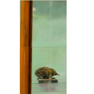 Irish Art online