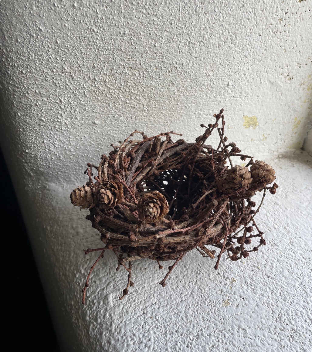 Joe Hogan Nests